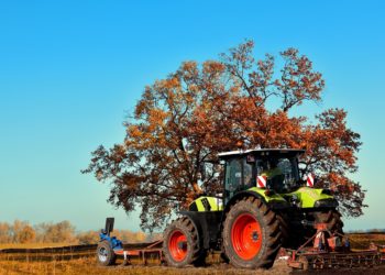 Les fermes bio des Hautes Pyrénées ouvrent leurs portes au public ce dimanche