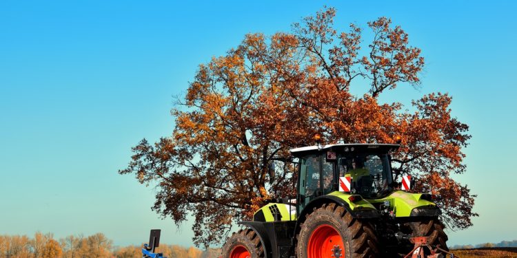 Les fermes bio des Hautes Pyrénées ouvrent leurs portes au public ce dimanche