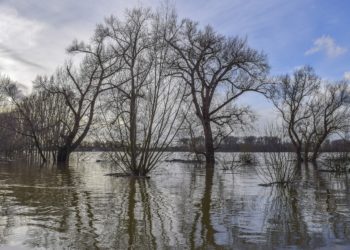 Fortes inondations en Afrique
