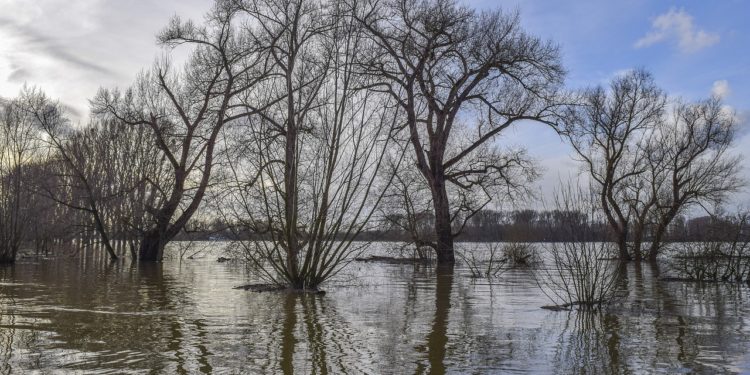 Fortes inondations en Afrique