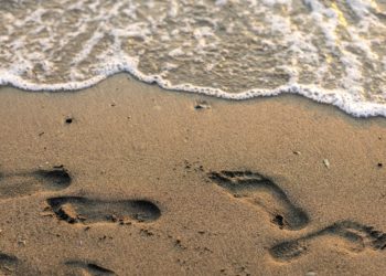 Pourquoi le niveau de la mer s'élève plus rapidement