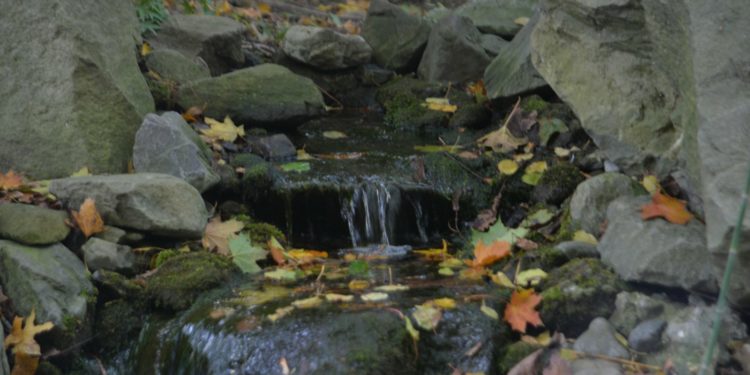 A l'exception de 2 régions, la situation des nappes phréatiques est satisfaisant
