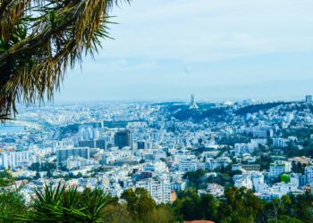 Présidentielle en Algérie : Abdelmadjid Tebboune largement réélu avec un score record