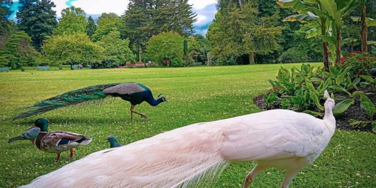Vers une semaine plus chaude à Tarbes, mais un week end annoncé pluvieux