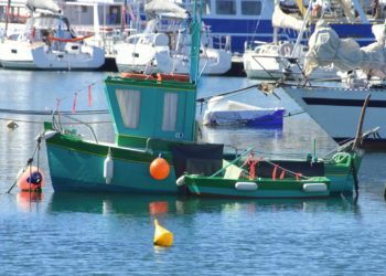 Vidéo - 5 géants des mers et 5 skippers stars au Port de Concarneau