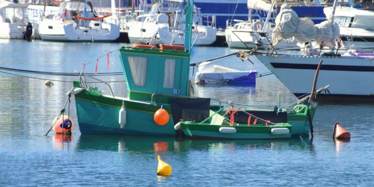 Vidéo - 5 géants des mers et 5 skippers stars au Port de Concarneau