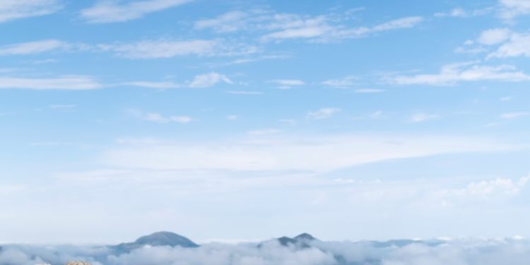 Luz Saint Sauveur accueille la Foire aux Côtelettes ce week end