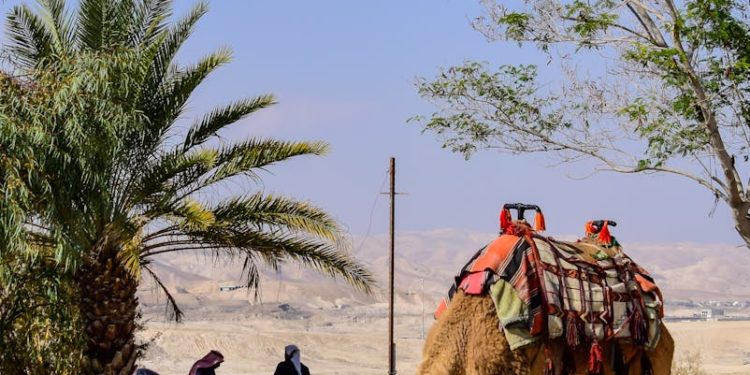 à Gaza, des centaines de milliers de travailleurs sans revenus, la famine progresse