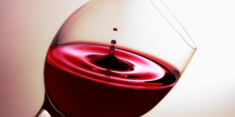 Des étudiants partagent leur passion pour le vin