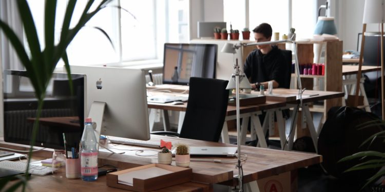 Le comité régional emploi Occitanie va se déployer en 2025