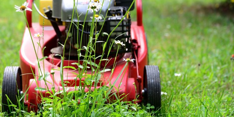 Quel est le meilleur moment pour tondre sa pelouse avant l’hiver