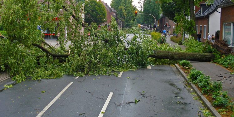 Tempête sur Tarbes, suivez notre direct : la vigilance orange maintenue dans les Hautes Pyrénées