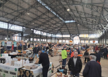 Trompettes de la mort, noisettes et légumes pour la soupe au marché Marcadieu à Tarbes