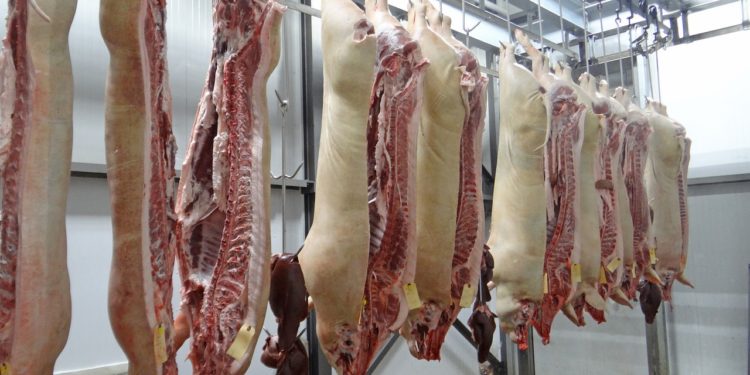 Opinion Ecologistes 65 "Après la fermeture des abattoirs de Bagnères : des solutions existent"