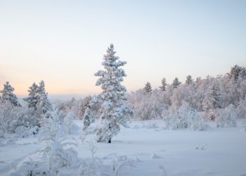 Neige sur les Pyrénées et coup de froid sur Tarbes