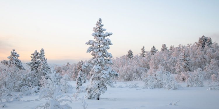 Neige sur les Pyrénées et coup de froid sur Tarbes
