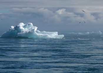 Le Secrétaire général de l'ONU, António Guterres, a demandé mardi aux dirigeants réunis à Bakou pour le Sommet de l’action climatique (COP29) de prendre des mesures immédiates pour réduire les émissions de gaz à effet de serre, protéger les populations du chaos climatique et « abattre les murs du financement climatique » en réponse à la « destruction climatique » auquel le monde a assisté en 2024. « Le son que vous entendez est celui du tic-tac de l’horloge. Nous sommes dans le compte à rebours final pour limiter l’augmentation de la température mondiale à 1,5 degré Celsius. Et le temps ne joue pas en notre faveur », a-t-il averti. Dans son discours d’ouverture au Sommet des leaders mondiaux pour l’action climatique, le segment ministériel de la COP29, qui s’est officiellement ouvert mardi à Bakou, la capitale de l’Azerbaïdjan, M. Guterres en a apporté la preuve en indiquant qu’il est presque certain que 2024 sera l’année la plus chaude jamais enregistrée. « Aucun pays n’est épargné » par la destruction climatique, a-t-il rappelé, citant les ouragans, les mers en ébullition, les cultures ravagées par la sécheresse, « tout cela étant dopé par le changement climatique causé par l’être humain ». Compte tenu de tous ces éléments, M. Guterres a déclaré que « les pays en développement ne doivent pas quitter Bakou les mains vides » et a exhorté les dirigeants mondiaux présents à la COP29 à se concentrer sur trois domaines d’action immédiate : 1. Réduire d’urgence les émissions de gaz à effet de serre - en diminuant les émissions de 9 % chaque année pour atteindre 43 % des niveaux de 2019 d’ici à 2030. C’est la voie la plus claire pour limiter l’augmentation de la température mondiale à 1,5 degré Celsius. 2. Faire plus pour protéger les populations des ravages de la crise climatique. L’écart entre les besoins d’adaptation et les financements pourrait atteindre 359 milliards de dollars par an d’ici à 2030. Les dollars manquants ne sont pas des abstractions sur un bilan, ce sont des vies perdues et des récoltes et des développements refusés. 3. Abattre les murs du financement climatique en adoptant un nouvel objectif de financement qui comporte une augmentation significative du financement public concessionnel ; une indication claire de la manière dont le financement public mobilisera les milliards de dollars dont les pays en développement ont besoin ; l’utilisation de sources innovantes ; la mise en place d’un cadre pour une plus grande accessibilité, transparence et responsabilité ; et l’augmentation de la capacité de prêt pour des banques multilatérales de développement plus grandes et plus audacieuses.