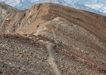 Climat "s'adapter ou disparaître"