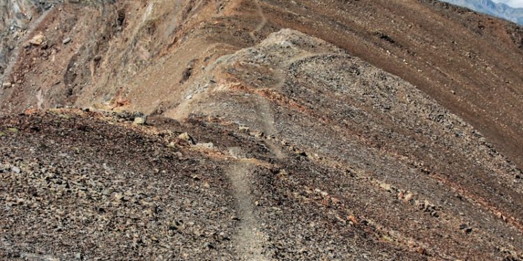 Climat "s'adapter ou disparaître"