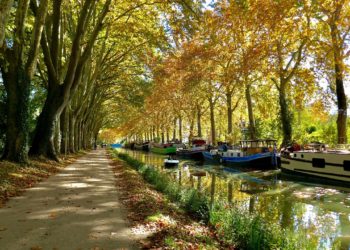 Un cadavre découvert dans le canal du Midi