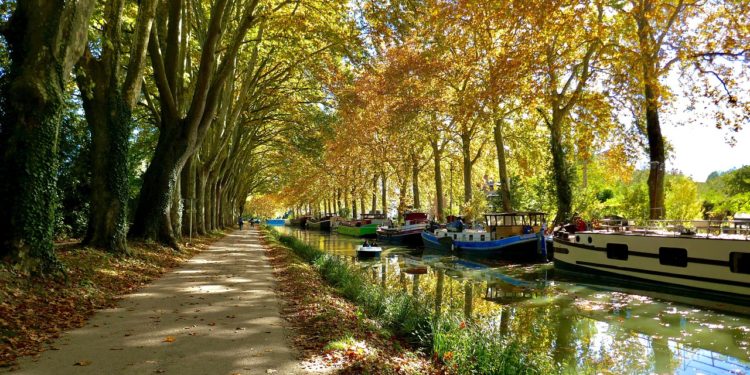 Un cadavre découvert dans le canal du Midi