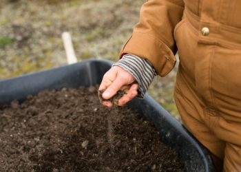 L'agriculture en débat ce jeudi au marché Marcadieu place du Foirail