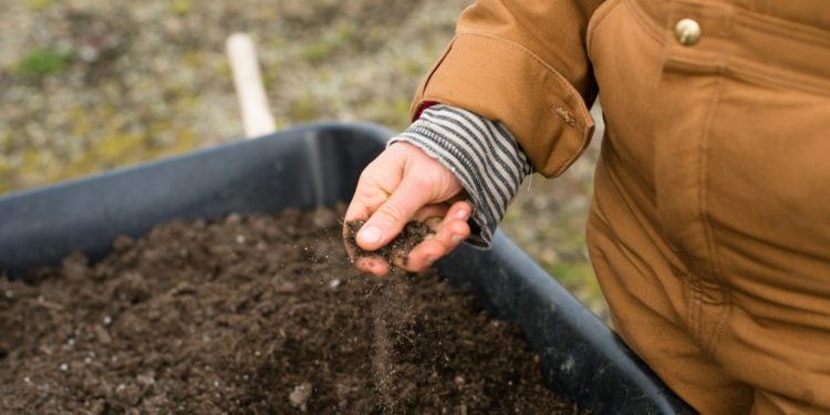 L'agriculture en débat ce jeudi au marché Marcadieu place du Foirail