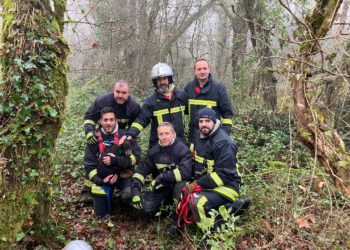 Les pompiers sauvent un chien tombé dans un puits