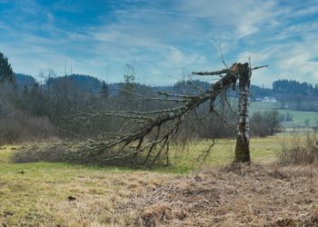 Tempête Floriane, vigilance orange, des trains à l'arrêt
