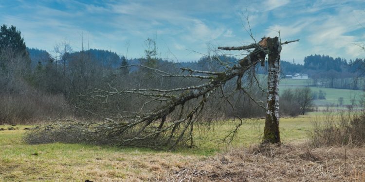 Tempête Floriane, vigilance orange, des trains à l'arrêt