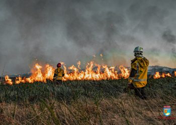 22 hectares brûlés sur le camp du Ger après un nouvel incendie