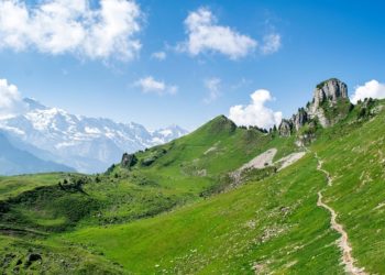 Janvier 2025, mois de janvier le plus chaud jamais enregistré