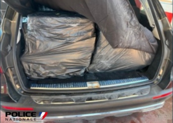 387 kilos de cocaïne saisies, un record