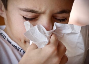 Alerte rouge aux pollens à Tarbes et les Hautes Pyrénées