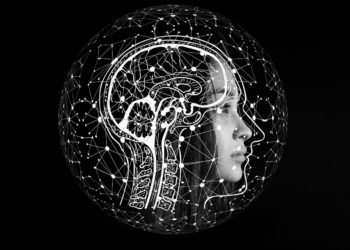 Les aliments ultratransformés altèrent votre cerveau