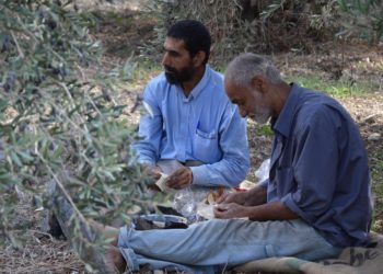 Syrie : 13.000 personnes ont fui les violences vers le Liban