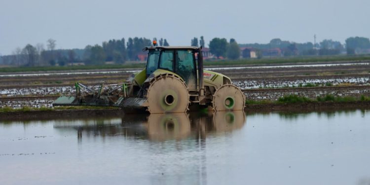 Changement climatique : l'Europe est le continent qui se réchauffe le plus rapidement