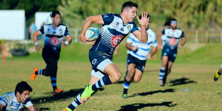 Rugby - les junior de Tarbes brillent en Crabos