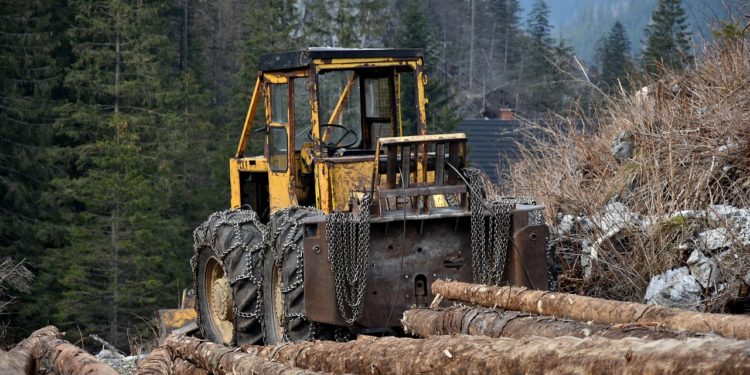 " les forêts du monde continuent d’être menacées par la déforestation et le changement climatique"