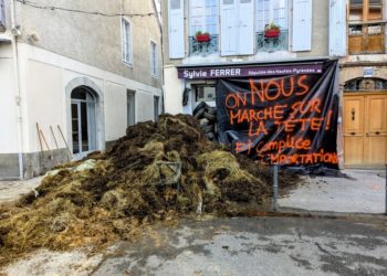 Du fumier déversé devant la permanence de la députée Sylvie Ferrer