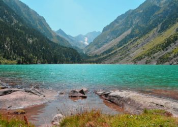 Une "perte fulgurante de la biodiversité"