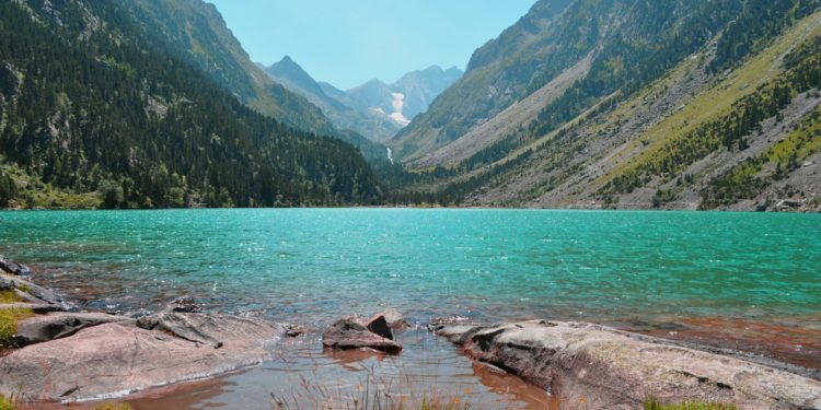 Une "perte fulgurante de la biodiversité"