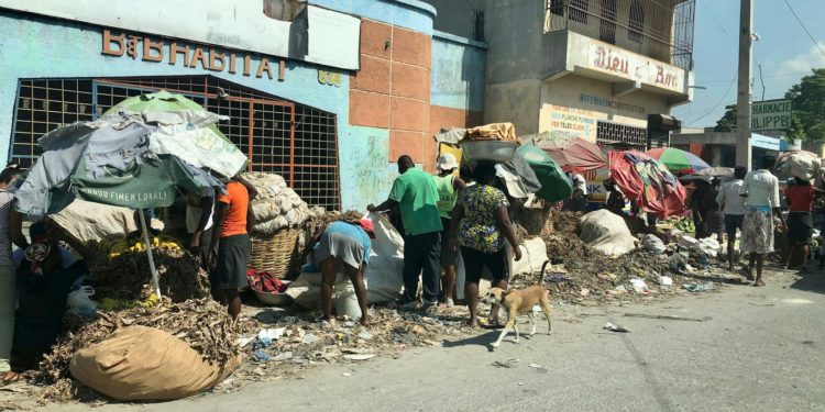 Violence des Gangs en Haïti : plus de 1.600 personnes tuées au 1er trimestre