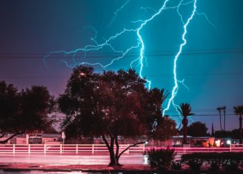 Orages - la foudre tombe sur un zoo, 13 blessés dont un entre la vie et la mort