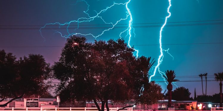 Orages - la foudre tombe sur un zoo, 13 blessés dont un entre la vie et la mort