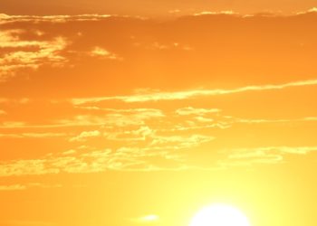 Un enfant de 2 ans décède dans une voiture en pleine canicule