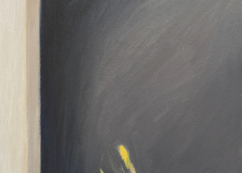 Dernière semaine pour voir l'exposition Vie Silencieuse à l'atelier 20