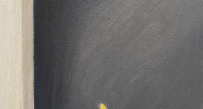 Dernière semaine pour voir l'exposition Vie Silencieuse à l'atelier 20