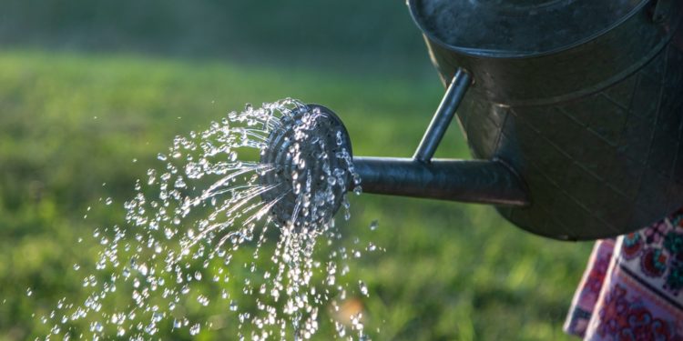 Sécheresse en Hautes Pyrénées, nouvelles restrictions sur l'eau