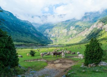 De plus en plus de touristes dans les Pyrénées en été